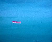 (79) Sans Titre / Oil on canvas